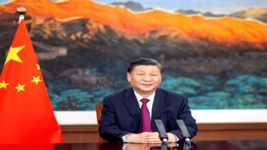 Xi: China is always considered a reliable partner for Kazakhstan