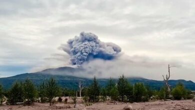 An active volcano in Russia erupted/Earthquake warning of magnitude 9 within the next 24 hours