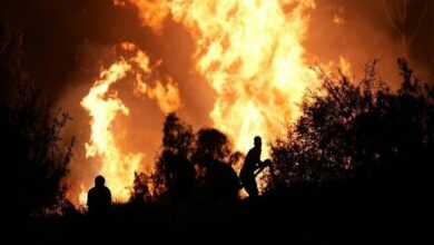 Deadly fire in the forests of Türkiye / 78 people have been injured so far