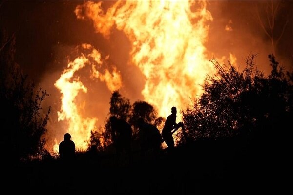 Deadly fire in the forests of Türkiye / 78 people have been injured so far