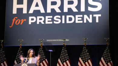 Democratic supporters lavish on Harris during the National Convention