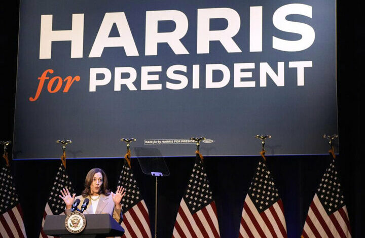 Democratic supporters lavish on Harris during the National Convention