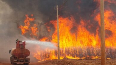 Intentional fires involved 48 cities in Brazil