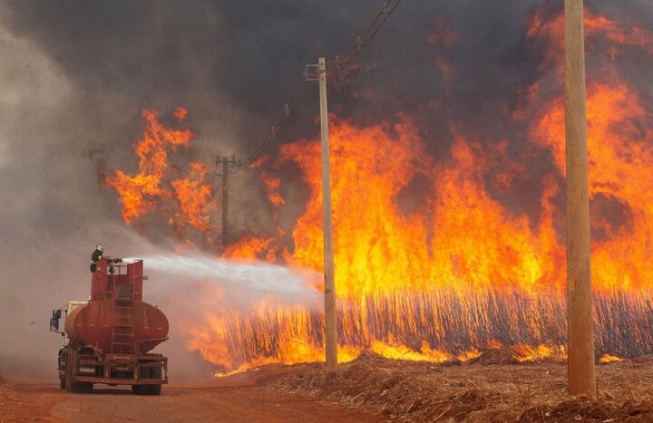 Intentional fires involved 48 cities in Brazil