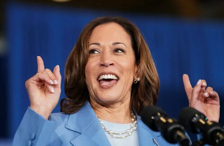 Kamala Harris was officially announced as the candidate of the Democratic Party