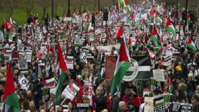 Massive demonstrations in support of Palestine in 3 European countries