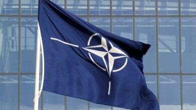 NATO members did not supply Ukraine with weapons