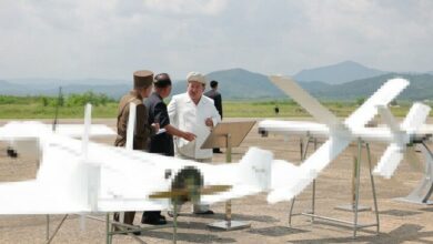 North Korea unveiled two new suicide drones