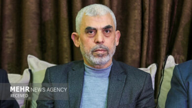 Possible options for choosing the deputy of “Yahya Al-Sanwar”