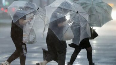 Strong typhoon Shanshan left 54 ​​injured in Japan