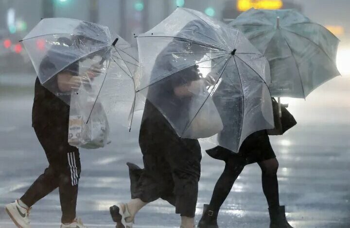 Strong typhoon Shanshan left 54 ​​injured in Japan