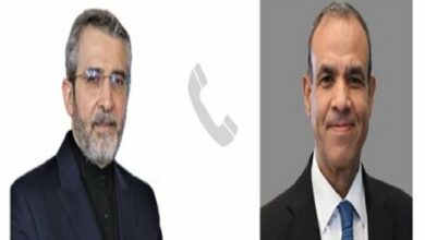 Telephone consultation between the Acting Foreign Minister of Iran and the Foreign Minister of Egypt