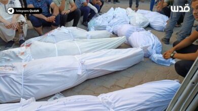 The bodies of many of the martyrs of the massacre of Tabein school cannot be identified