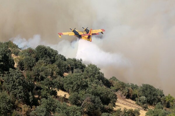 The fire in Brazil is still burning