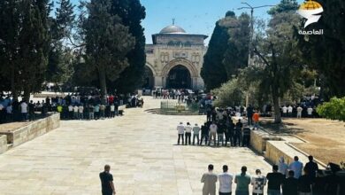 The presence of 50,000 Palestinian worshipers in Al-Aqsa Mosque + video