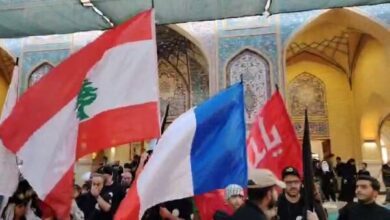 The presence of Shiites from different countries in the shrine of Amirul Momineen Ali (peace be upon him)+film