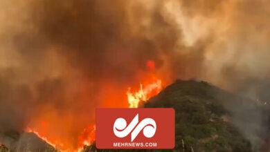 A large fire in the forests of Los Angeles