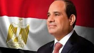 Al-Sisi: Using the weapon of hunger against Palestinians is dangerous