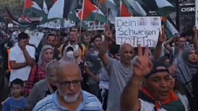 Demonstration of the supporters of the people of Gaza in Germany + video