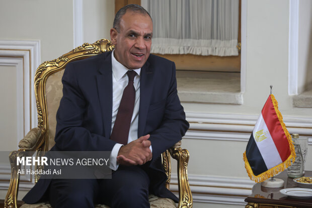 Egypt’s support for Somalia and the security of the Red Sea