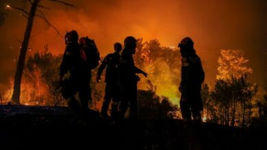 Forest fire in Peru/ 15 people died