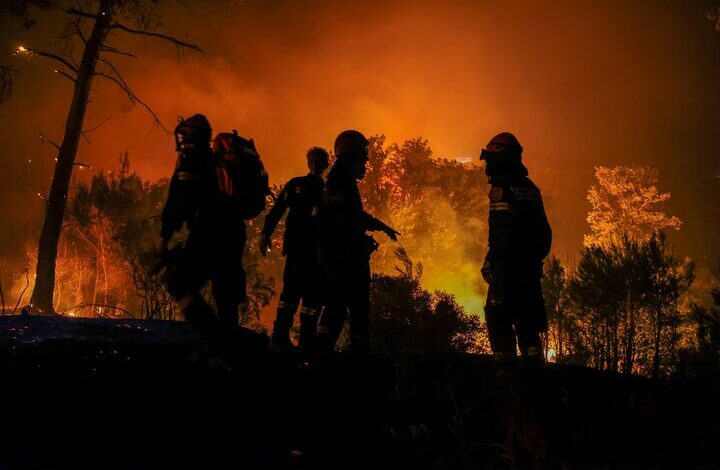 Forest fire in Peru/ 15 people died