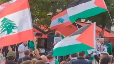 Support demonstration for Lebanon and Palestine in Paris + video