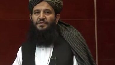 Taliban representative’s apology to the people of Iran + video