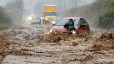 Terrible storm “Helen” killed 44 people in America + video