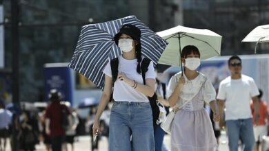 The extreme heat in Tokyo claimed 248 victims