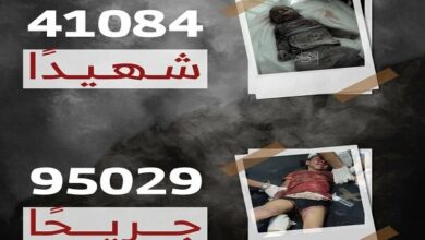 The number of martyrs in Gaza increased to 41 thousand 84 people