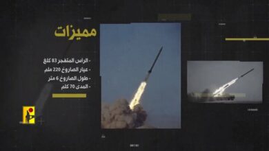 What do we know about the “Fadi 1” and “Fadi 2” missiles of Hezbollah in Lebanon? + Video