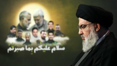 Who was the martyr “Seyd Hassan Nasrallah”?