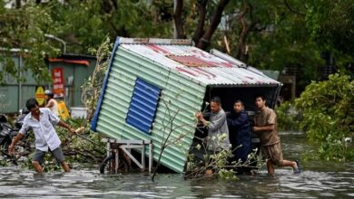 Yagi killed 14 people one day after entering Vietnam