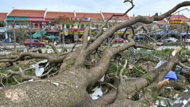 “Yagi” through the lens of the camera / the number of victims of the Vietnam storm reached 35 people