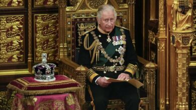 An Australian senator’s shout at Charles III at the reception