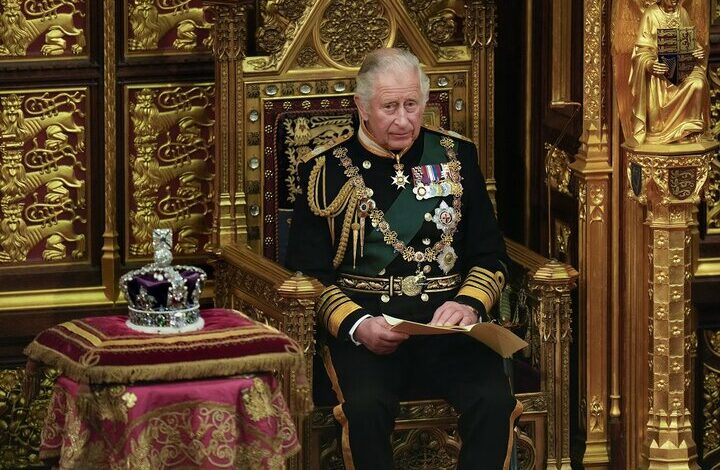 An Australian senator’s shout at Charles III at the reception