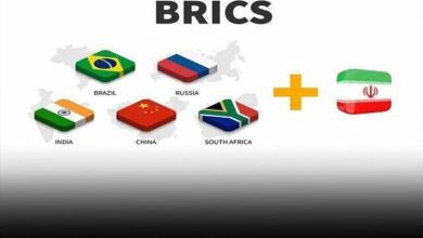 BRICS P was unveiled/ dollarization is on the agenda of BRICS members