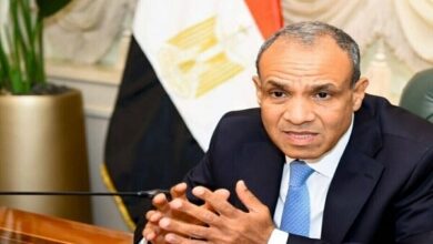 Egyptian Foreign Minister: The security of the region is not possible without the formation of a Palestinian state