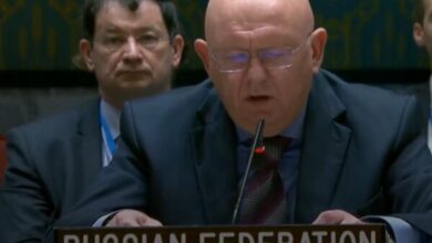 Nebenzia: The entire responsibility for the escalation of tensions lies with Israel