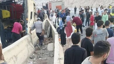 Student bus accident in Egypt/ 12 people were killed + video