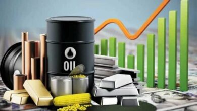 Tehran Stock Exchange forecast of commodity prices until the end of 2024