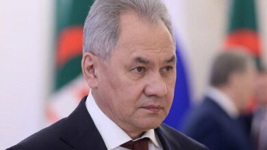 The statement of the Russian Security Council about Shoigu’s visit to the UAE