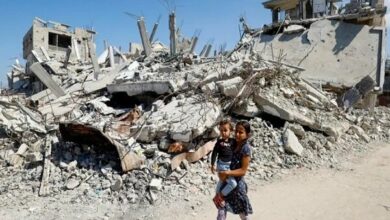 The tragedies of 380 days of genocide in Gaza / 1,200 families have been completely wiped out