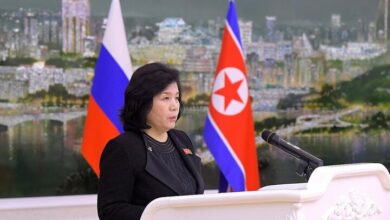 The visit of the foreign minister of North Korea to Russia / Relations are deepening