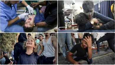 The World Health Organization is concerned about violence against civilians in northern Gaza