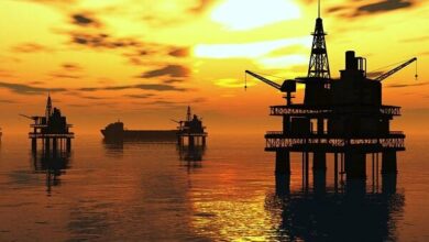 The world price of oil today, October 24; Brent fell