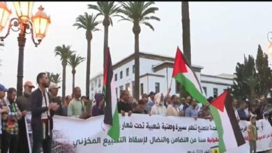 Westerners stood up in support of Gaza / 112 demonstrations in 56 Moroccan cities