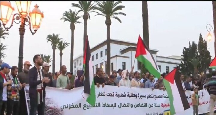 Westerners stood up in support of Gaza / 112 demonstrations in 56 Moroccan cities