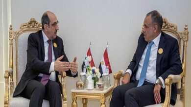 Consultation of foreign ministers of Syria and Egypt